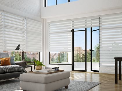 Dual shades softening glare while keeping the view in a Windermere home